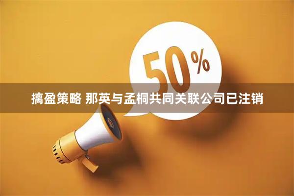 摛盈策略 那英与孟桐共同关联公司已注销