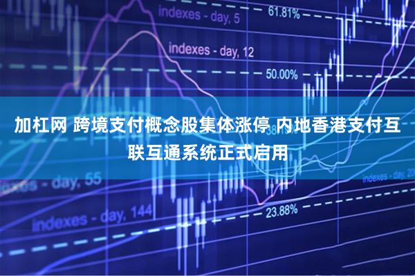 加杠网 跨境支付概念股集体涨停 内地香港支付互联互通系统正式启用