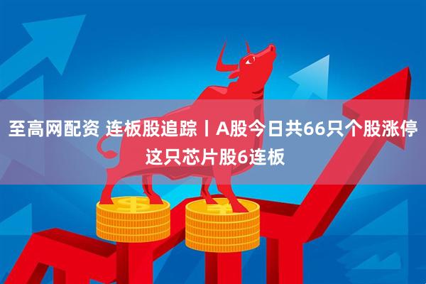 至高网配资 连板股追踪丨A股今日共66只个股涨停 这只芯片股6连板