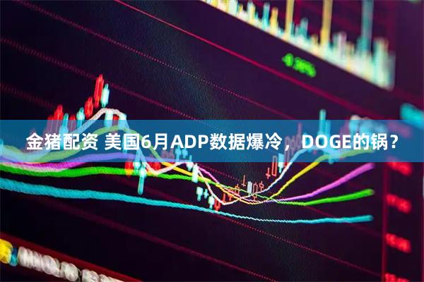 金猪配资 美国6月ADP数据爆冷，DOGE的锅？