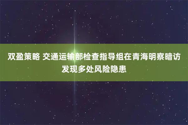 双盈策略 交通运输部检查指导组在青海明察暗访发现多处风险隐患