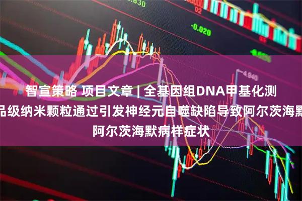 智宣策略 项目文章 | 全基因组DNA甲基化测序揭示食品级纳米颗粒通过引发神经元自噬缺陷导致阿尔茨海默病样症状
