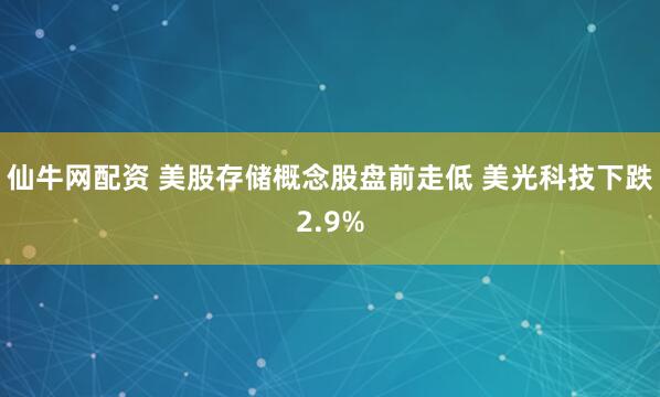 仙牛网配资 美股存储概念股盘前走低 美光科技下跌2.9%