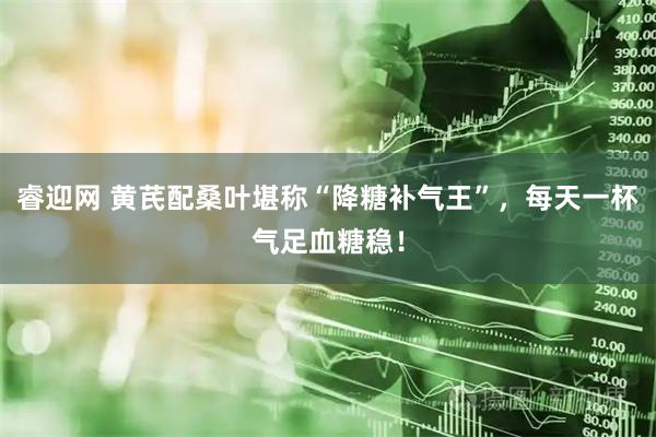 睿迎网 黄芪配桑叶堪称“降糖补气王”，每天一杯气足血糖稳！